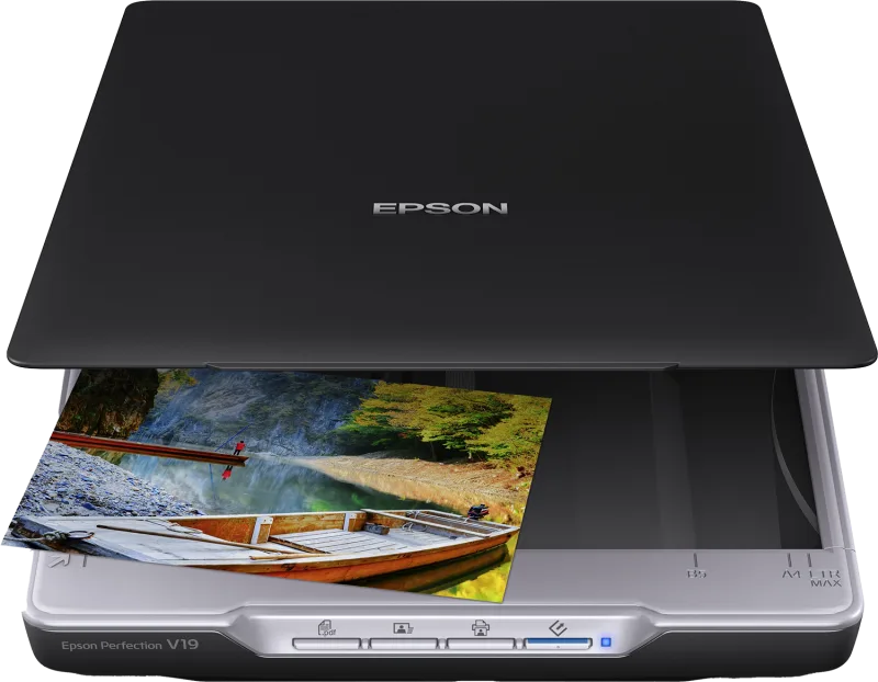 Epson Perfection V19